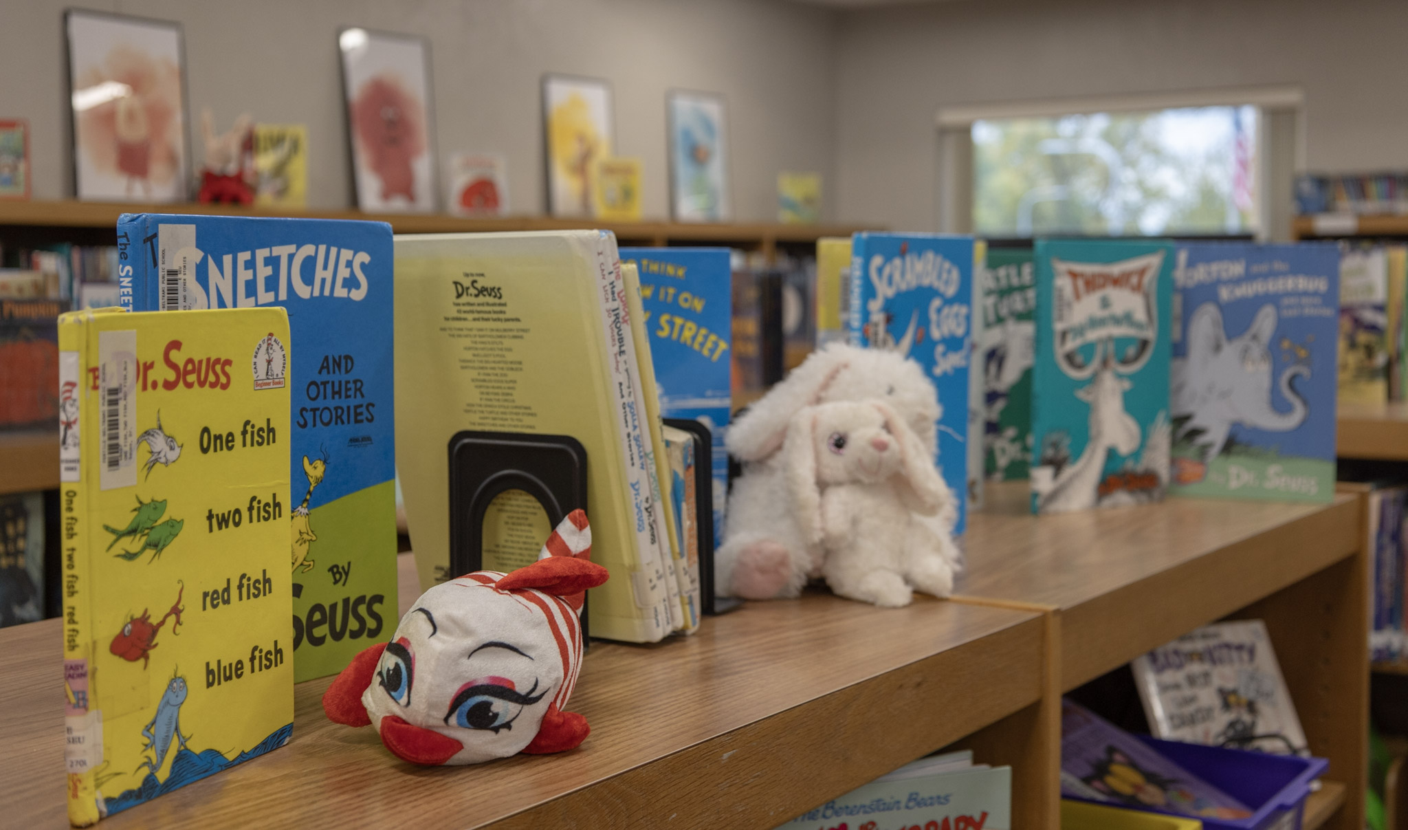 Fertile-Beltrami library